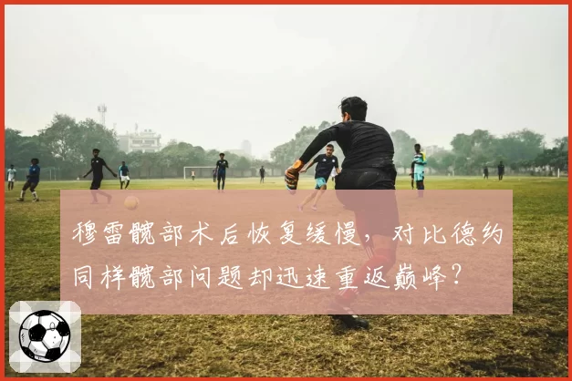 穆雷髋部术后恢复缓慢,对比德约同样髋部问题却迅速重返巅峰?