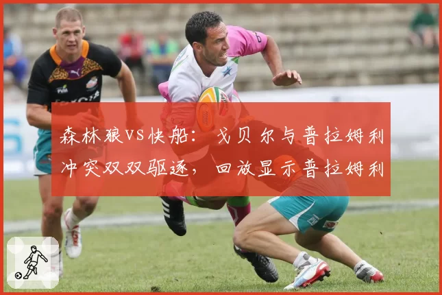 森林狼vs快船：戈贝尔与普拉姆利冲突双双驱逐，回放显示普拉姆利先出拳未重罚