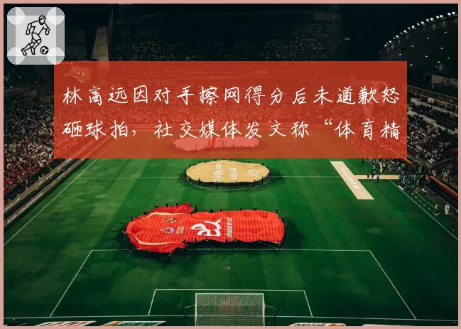 林高远因对手擦网得分后未道歉怒砸球拍，社交媒体发文称“体育精神去哪了”