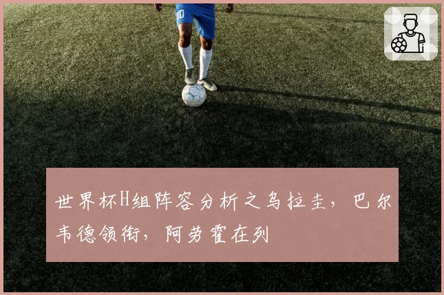世界杯H组阵容分析之乌拉圭，巴尔韦德领衔，阿劳霍在列