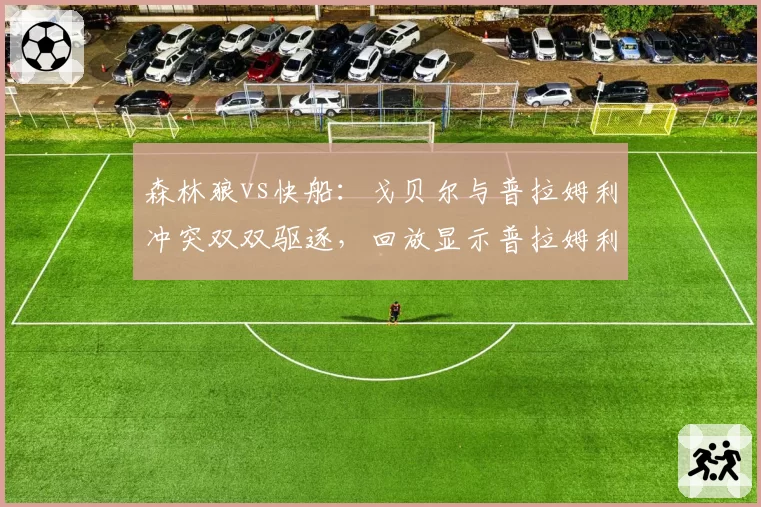 森林狼vs快船：戈贝尔与普拉姆利冲突双双驱逐，回放显示普拉姆利先出拳未重罚