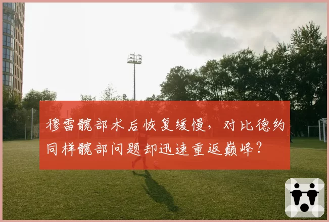 穆雷髋部术后恢复缓慢，对比德约同样髋部问题却迅速重返巅峰？