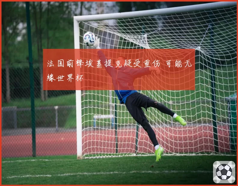 法国前锋埃基提克疑受重伤 可能无缘世界杯